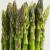 how to grow asparagus