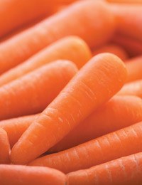 how to grow carrots