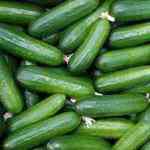 growing asparagus