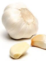 how to grow garlic
