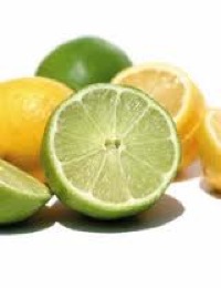 how to grow limes