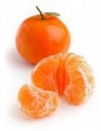 how to grow oranges