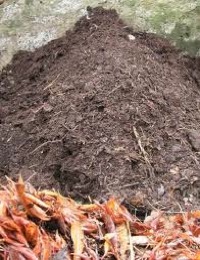 how to make leaf mould