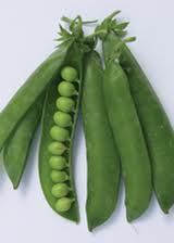 how to grow peas