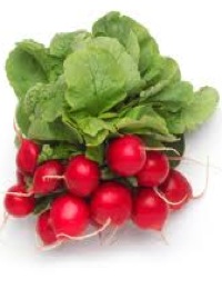 how to grow radishes