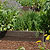 raised bed gardening