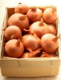 how to grow shallots