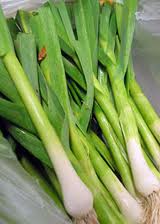 how to grow spring onions