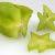 how to grow star fruit