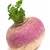 how to grow turnips