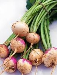 how to grow turnips